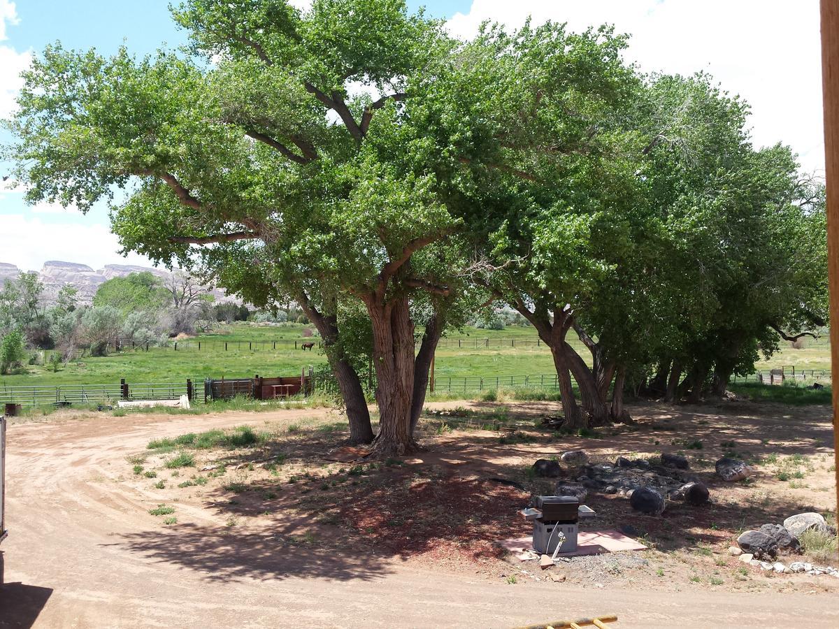 לינה וארוחת בוקר Notom Sunlit Oasis מראה חיצוני תמונה